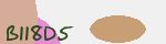 Mã bảo mật